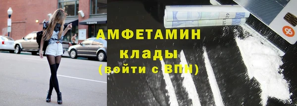 ГАЛЛЮЦИНОГЕННЫЕ ГРИБЫ Липки