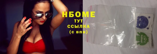 шишки Долгопрудный