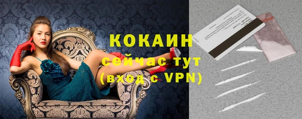 ПСИЛОЦИБИНОВЫЕ ГРИБЫ Магадан