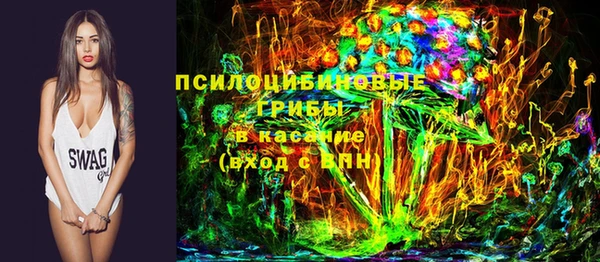 ГАЛЛЮЦИНОГЕННЫЕ ГРИБЫ Липки