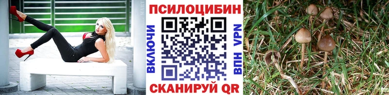 Псилоцибиновые грибы Psilocybine cubensis  Приволжский 